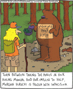 The Argyle Sweater - Monday December 29, 2008 Comic Strip