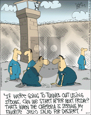 The Flying McCoys on Saturday May 17, 2014 Comic Strip