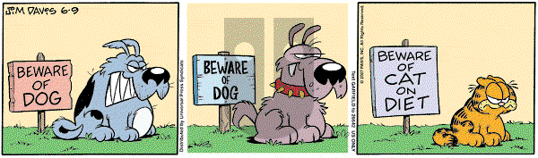 Garfield on Saturday June 9, 2007 Comic Strip