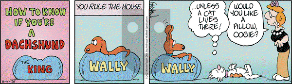 Drabble on Wednesday June 4, 2025 Comic Strip