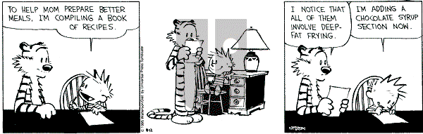 Calvin and Hobbes - Saturday August 12, 1995 Comic Strip