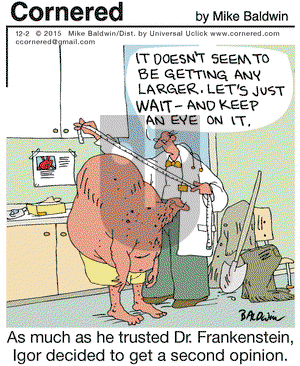 Cornered on Wednesday December 2, 2015 Comic Strip