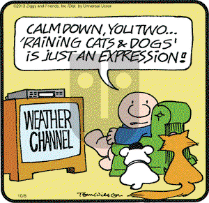 Ziggy on Tuesday October 8, 2013 Comic Strip