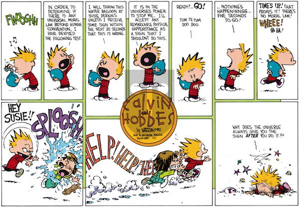 Calvin and Hobbes on Sunday July 26, 1992 Comic Strip