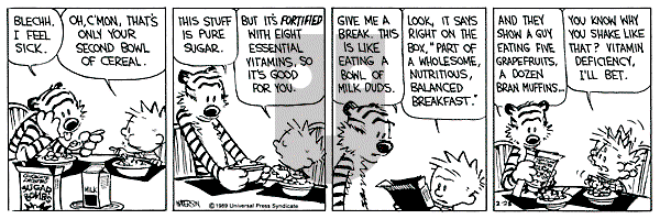Calvin and Hobbes - Tuesday February 28, 1989 Comic Strip