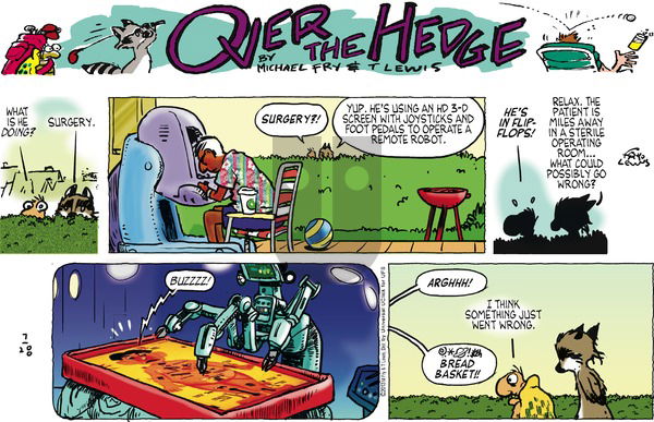 Over the Hedge on Sunday July 28, 2013 Comic Strip