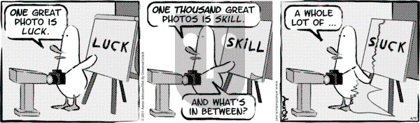 W.T. Duck on Thursday October 5, 2023 Comic Strip