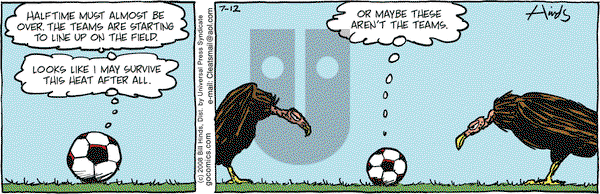 Cleats on Saturday July 12, 2008 Comic Strip