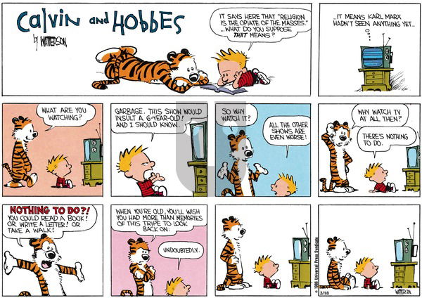 Calvin and Hobbes on Sunday January 19, 1986 Comic Strip