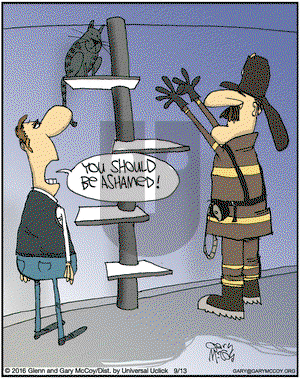 The Flying McCoys on Tuesday September 13, 2016 Comic Strip