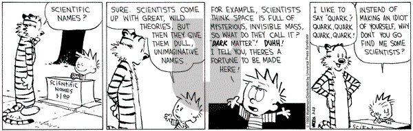 Calvin and Hobbes on Tuesday March 23, 1993 Comic Strip