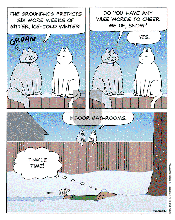 Snow Sez on Monday February 3, 2025 Comic Strip