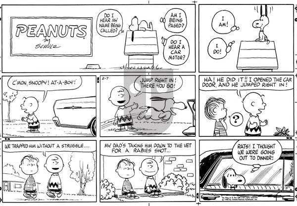 Peanuts on Sunday February 7, 1965 Comic Strip