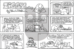 Ziggy - Sunday November 26, 1995 Comic Strip