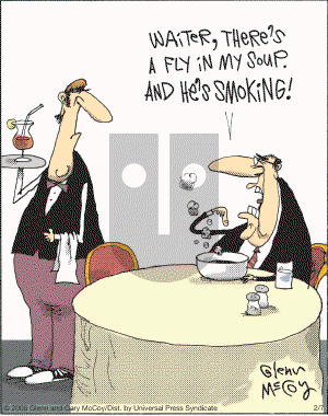 The Flying McCoys on Thursday February 7, 2008 Comic Strip