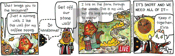 Breaking Cat News on Wednesday September 5, 2018 Comic Strip