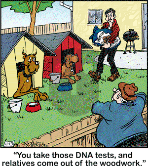 Marmaduke on Wednesday November 13, 2019 Comic Strip