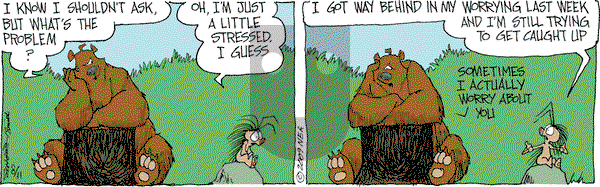 The Grizzwells on Tuesday August 11, 2009 Comic Strip