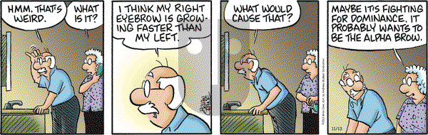 Pickles on Thursday November 13, 2025 Comic Strip