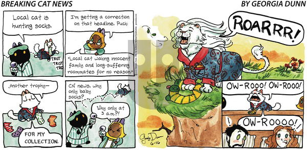Breaking Cat News on Sunday June 16, 2019 Comic Strip