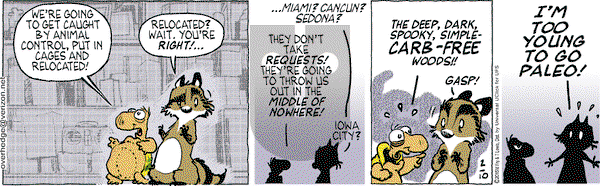Over the Hedge on Tuesday February 10, 2015 Comic Strip