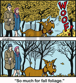 Marmaduke on Monday November 18, 2019 Comic Strip