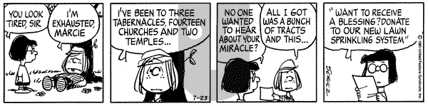 Peanuts on Thursday July 23, 1981 Comic Strip