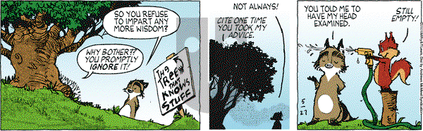 Over the Hedge on Tuesday May 27, 2025 Comic Strip