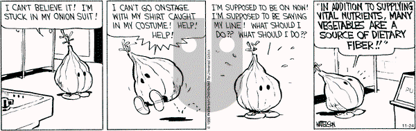 Calvin and Hobbes - Thursday November 24, 2016 Comic Strip