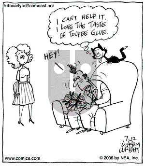 Kit 'N' Carlyle on Wednesday July 12, 2006 Comic Strip