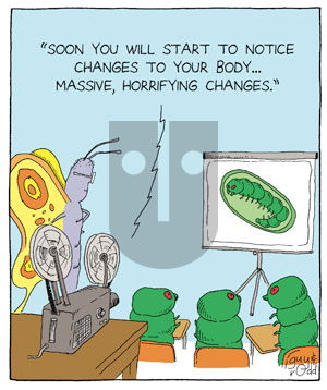 Brevity on Tuesday May 10, 2005 Comic Strip