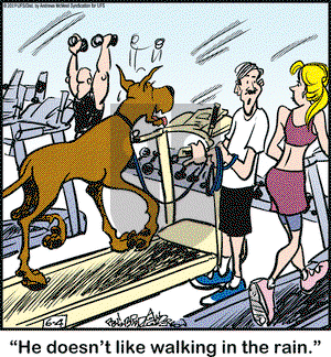 Marmaduke on Tuesday June 4, 2019 Comic Strip