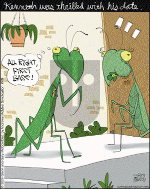 The Flying McCoys - Saturday October 5, 2024 Comic Strip