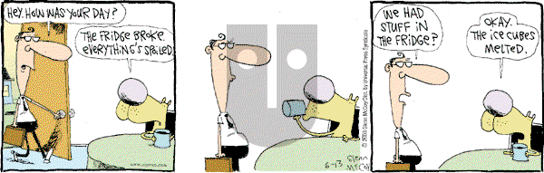 The Duplex on Friday June 13, 2003 Comic Strip