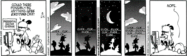 Over the Hedge on Friday August 25, 2000 Comic Strip