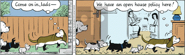 Fred Basset on Wednesday November 11, 2009 Comic Strip