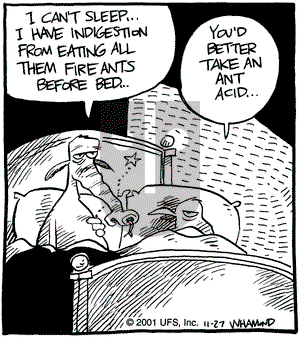 Reality Check on Tuesday November 27, 2001 Comic Strip