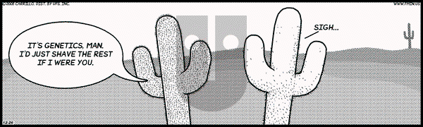 F Minus on Friday December 26, 2008 Comic Strip