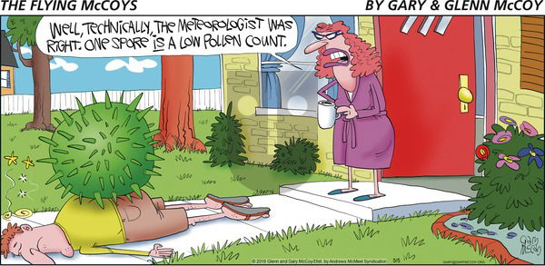 The Flying McCoys on Sunday May 5, 2019 Comic Strip
