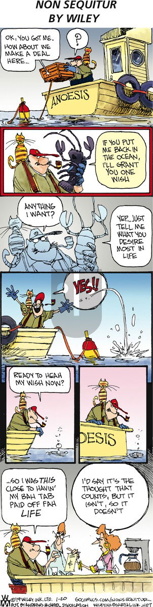 Non Sequitur on Sunday January 20, 2019 Comic Strip