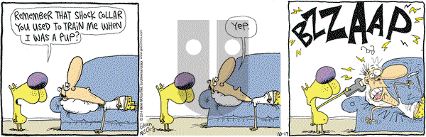 The Duplex on Friday October 17, 2014 Comic Strip