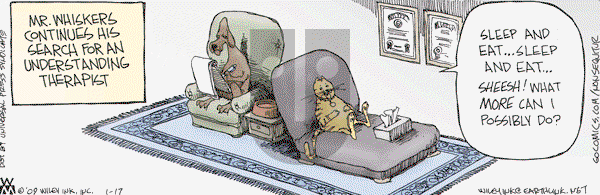 Non Sequitur - Saturday January 17, 2009 Comic Strip