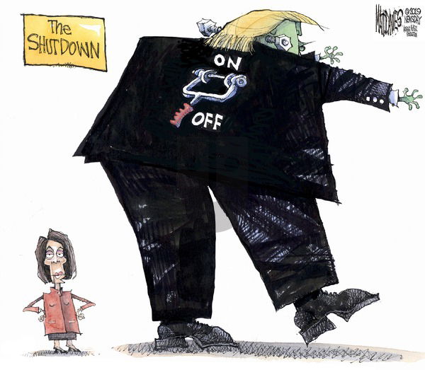 Matt Davies on Sunday January 27, 2019 Comic Strip