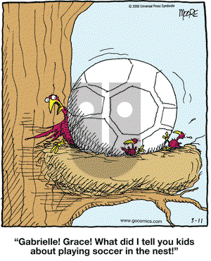 In the Bleachers on Saturday March 22, 2008 Comic Strip