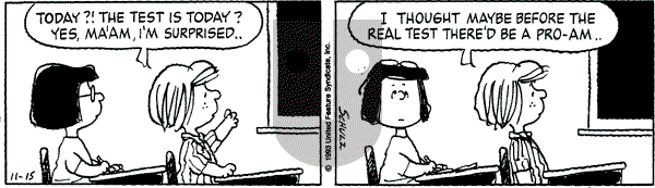 Peanuts - Monday November 15, 1993 Comic Strip
