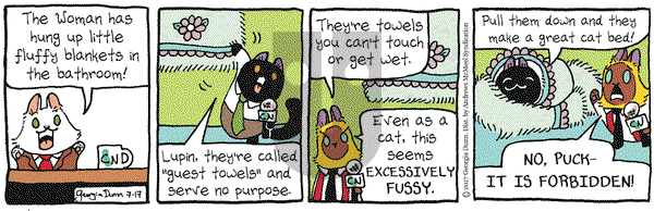 Breaking Cat News on Monday July 17, 2017 Comic Strip
