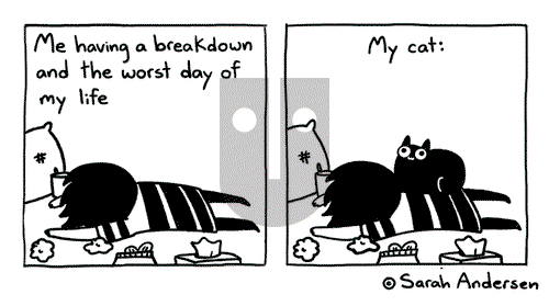 Sarah's Scribbles - Wednesday April 12, 2023 Comic Strip