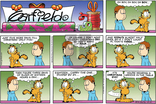 Garfield on Sunday December 21, 2008 Comic Strip