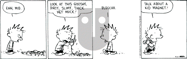 Calvin and Hobbes - Saturday April 17, 1993 Comic Strip