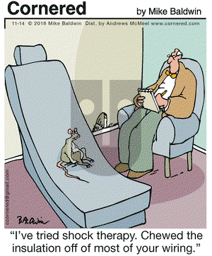 Cornered on Wednesday November 14, 2018 Comic Strip